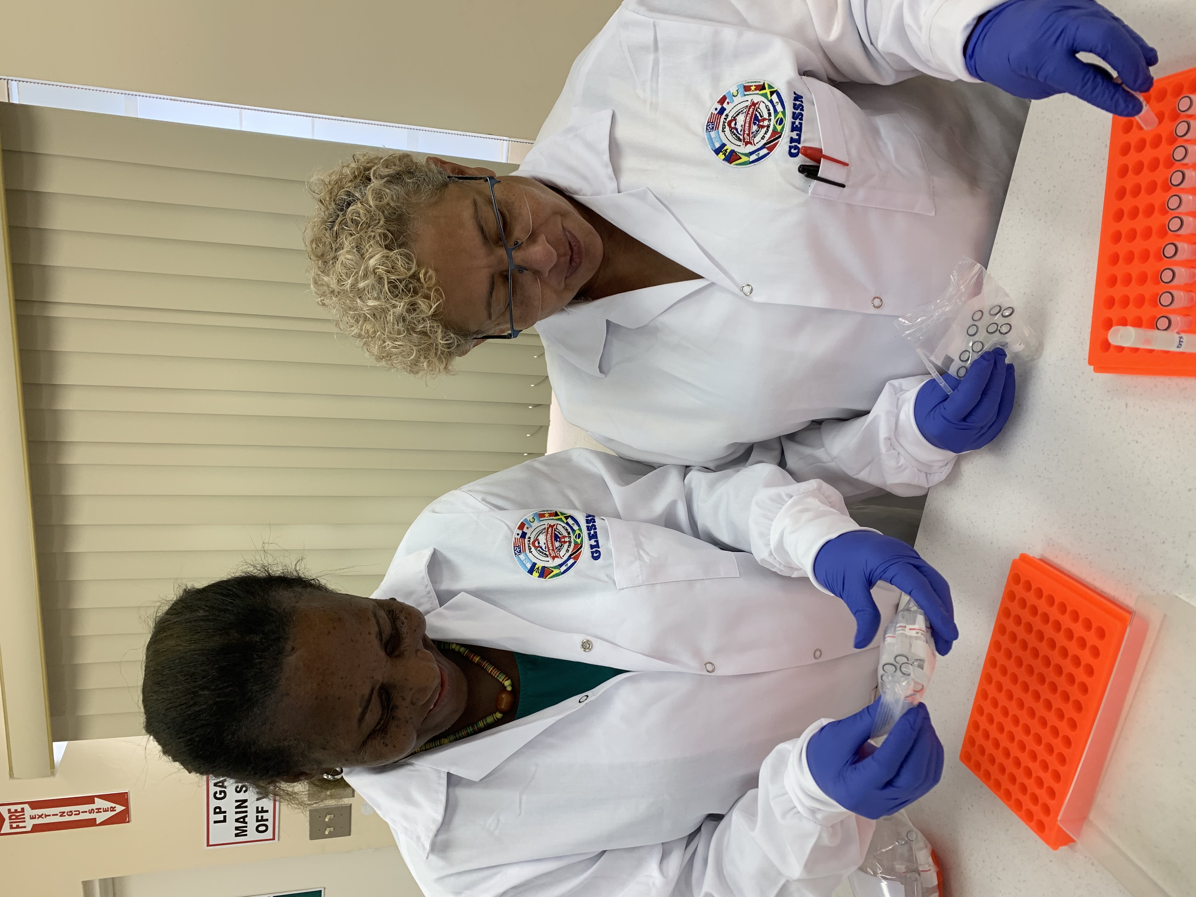 Professional Collaboration